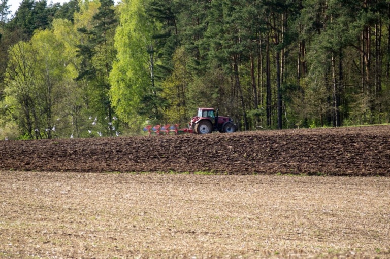 Dzierżawa nieruchomości – co to jest i kiedy warto ją zawrzeć?